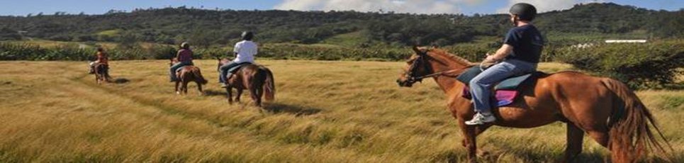 Barbados offers a wide range of family activities for all ages