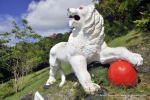 Gun Hill Lion