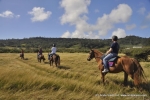 Horseback Riding