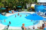 Pool Party