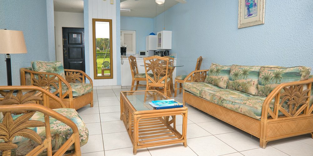 Living Area & Kitchen